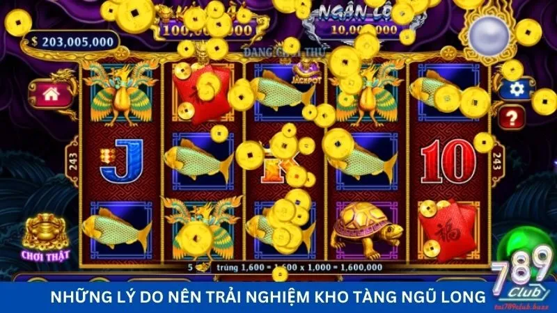 Những lý do nên trải nghiệm kho tàng ngũ long